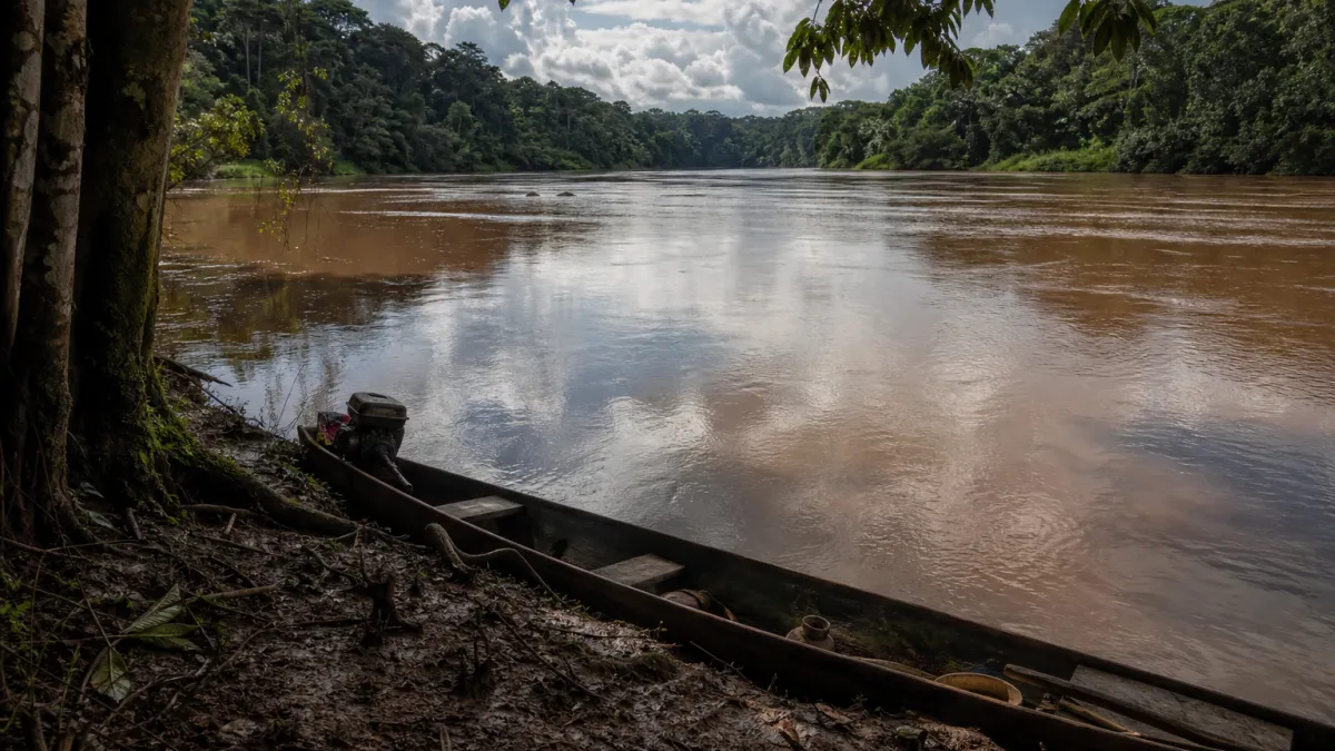 Le débit le plus élevé du monde : records et fleuves géants